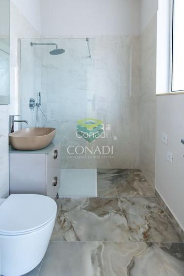 Iancu Nicolae-Pipera, vila cu 5 camere de vanzare, 345 mp construiti - 12