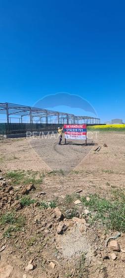Teren 5,000mp Dobroesti / None - 7