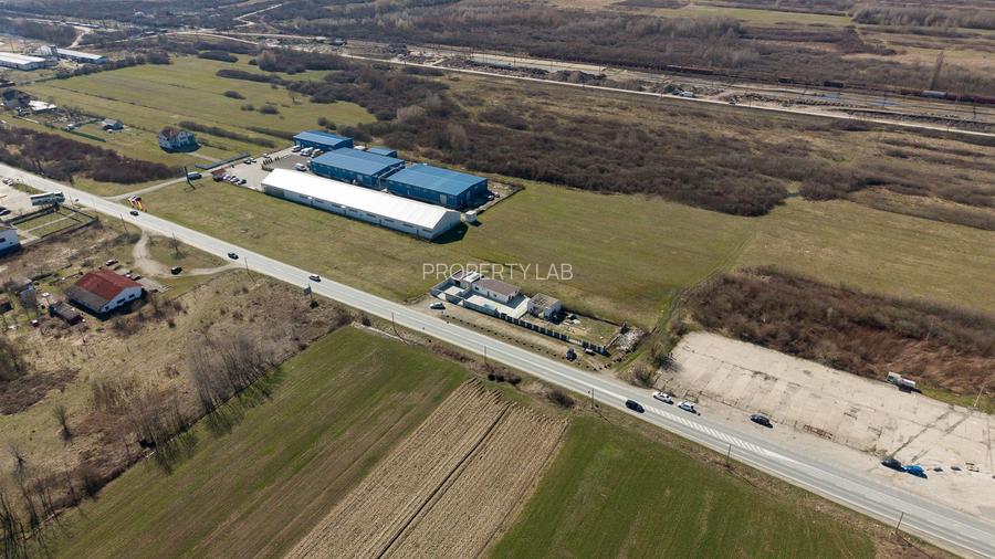 Teren extravilan de 7.000 mp lângă Păltiniș - 9