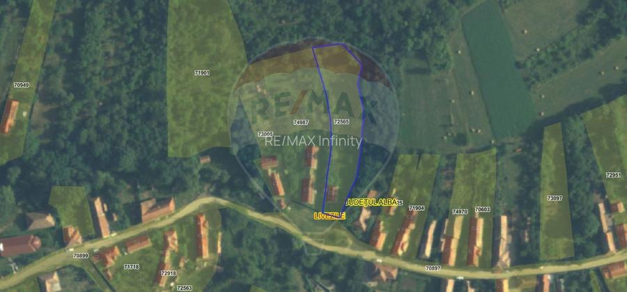 Casă din piatră la poalele Bedeleului – Izvoarele, Alba - 25