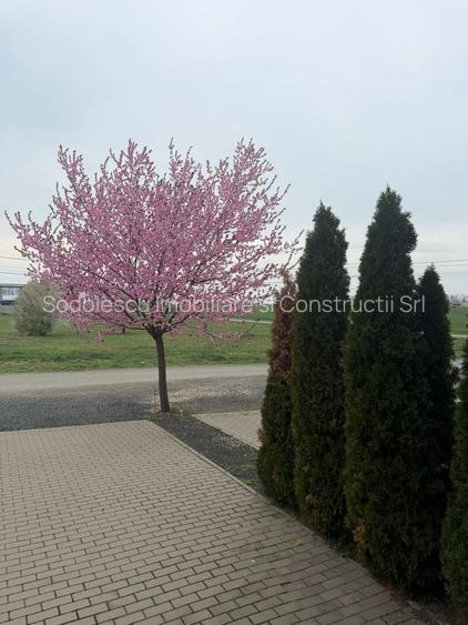 Casa la prima inchiriere cu 3 camere - 24