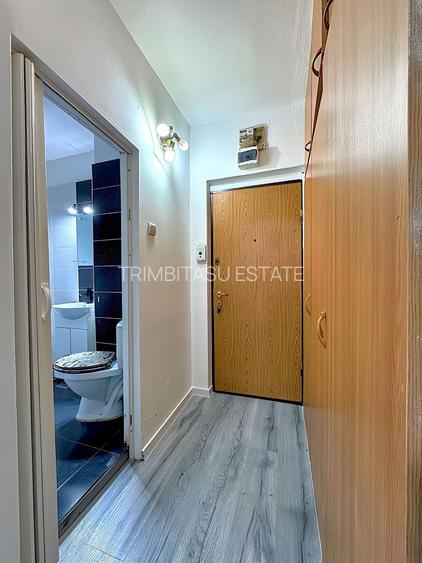 Titan - Costin Georgian Metrou 3 minute Garsoniera renovata mobilata - 8