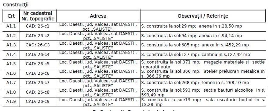 Spatii industriale pe teren de 11043 mp Daesti Valcea - 14