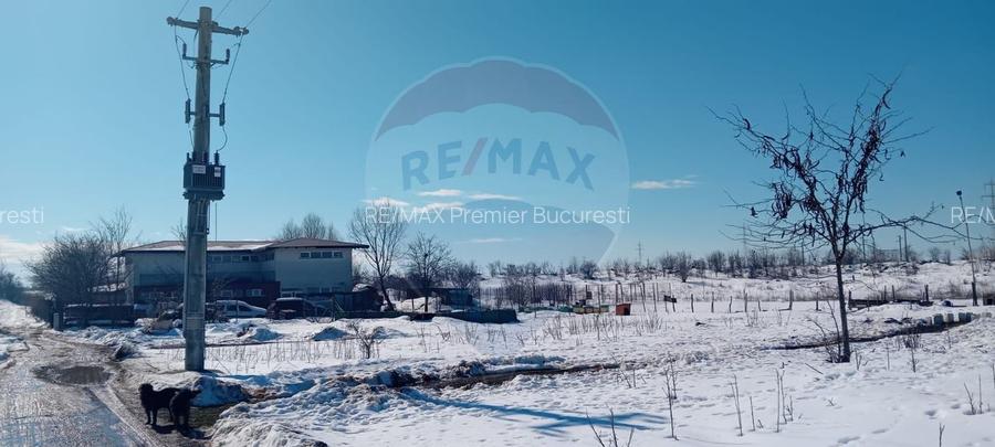 Teren 9,000mp Buftea / Strada Randunelelor - 6