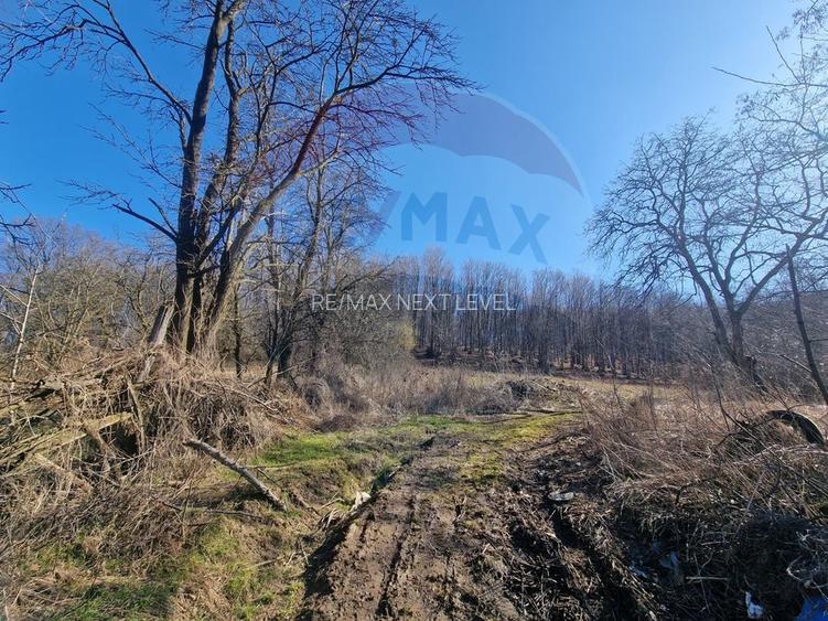 Teren de Vânzare în Pâncești (Sascut) - 17
