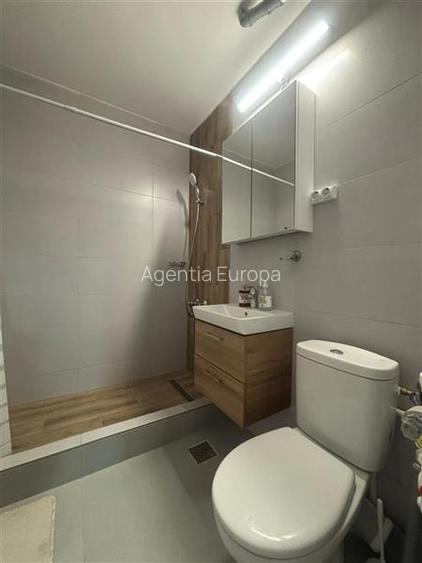 Apartament cu 2 camere de inchiriat strada Victoriei Tulcea - 11