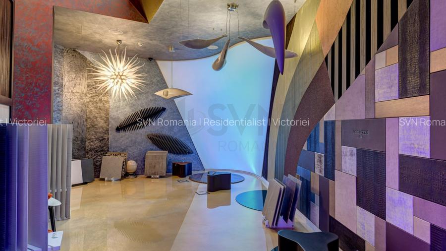 REV2001139 Proprietate deosebita Dorobanti Capitale - 19