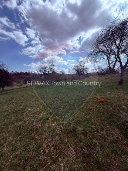 Teren 6,377mp Harnicesti / Strada Principala - 2