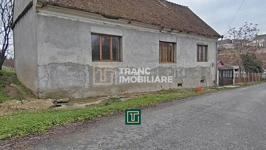 Casă de vânzare cu 4 camere în Zăbrani, teren 578 mp, front generos - 17