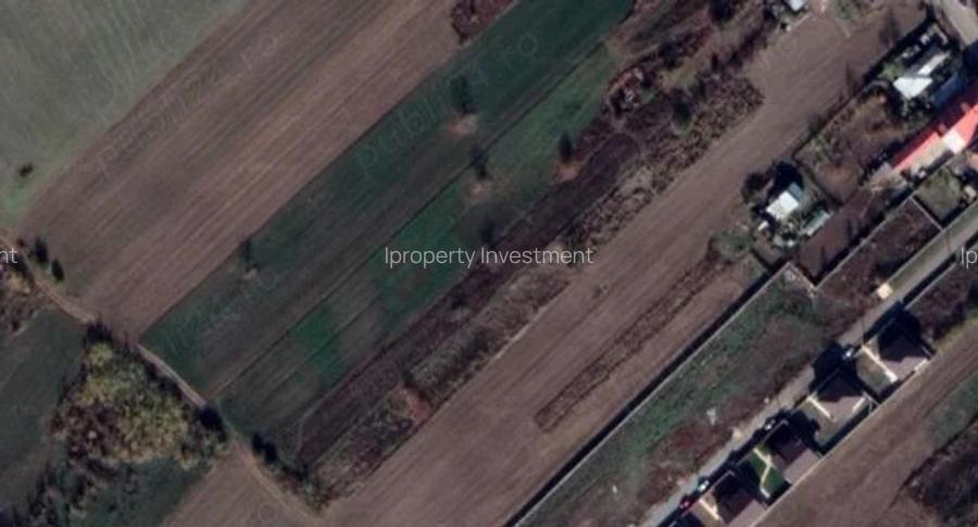 Teren Intravilan | Cernica-Sat Posta | 1588mp | UTR L1 - 2