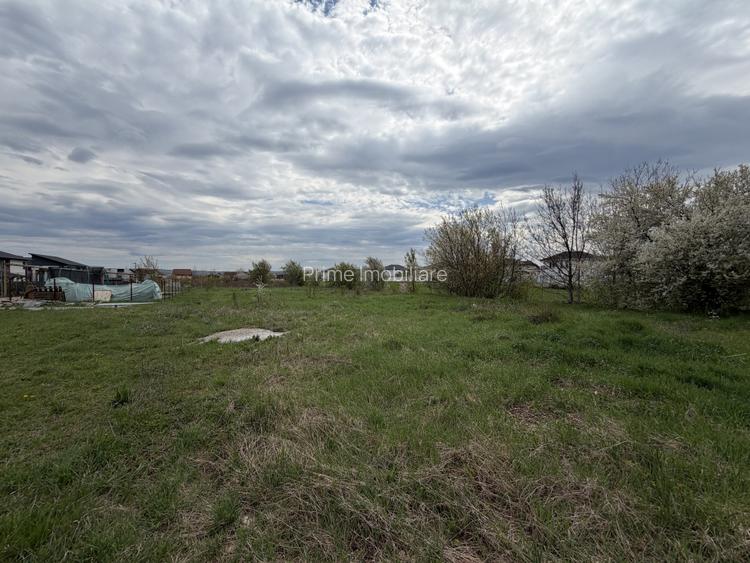 Teren Intravilan 900 mp | Toate utilitățile | Zona Cetate-Brândușei | - 2