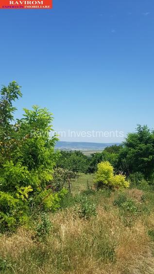 Sarata, Dealu Nou, teren 2800mp - 6