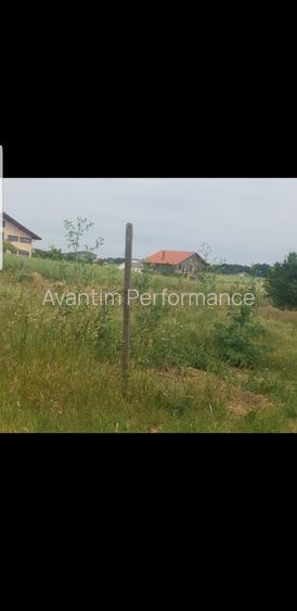 Teren intravilan Lazu - 2