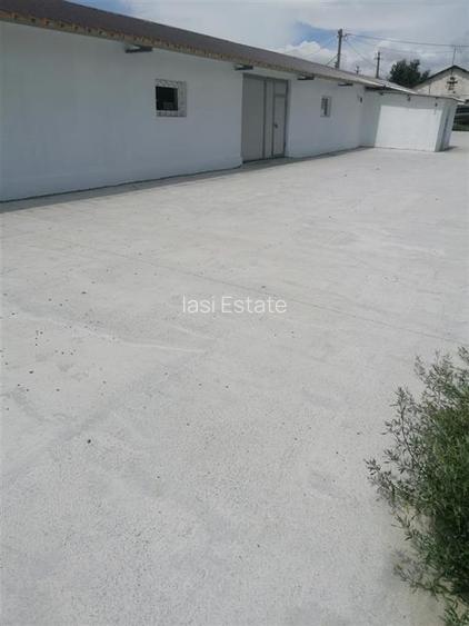 Hala 550mp zona Lunca Cetatuii - Dumbrava - 9