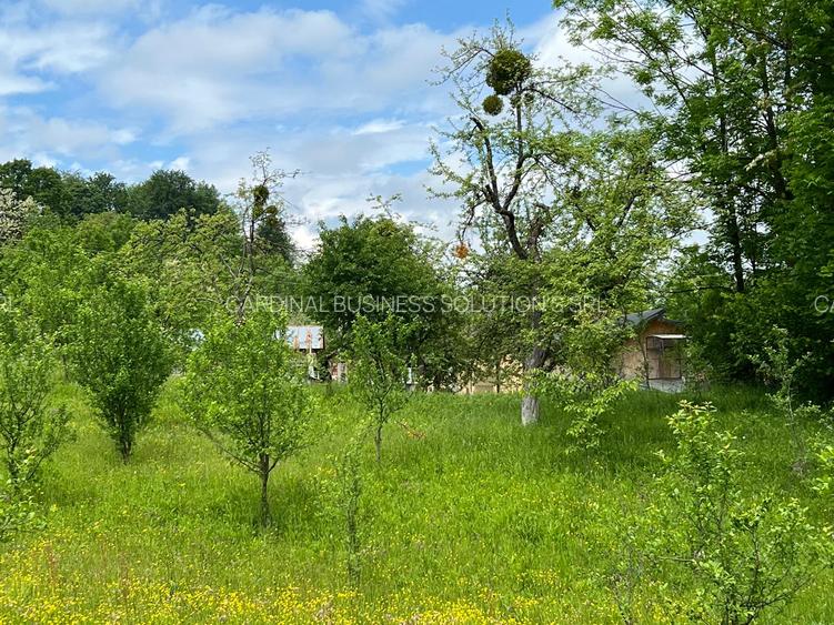 Breaza - Ocina de sus - 4200 mp - 10