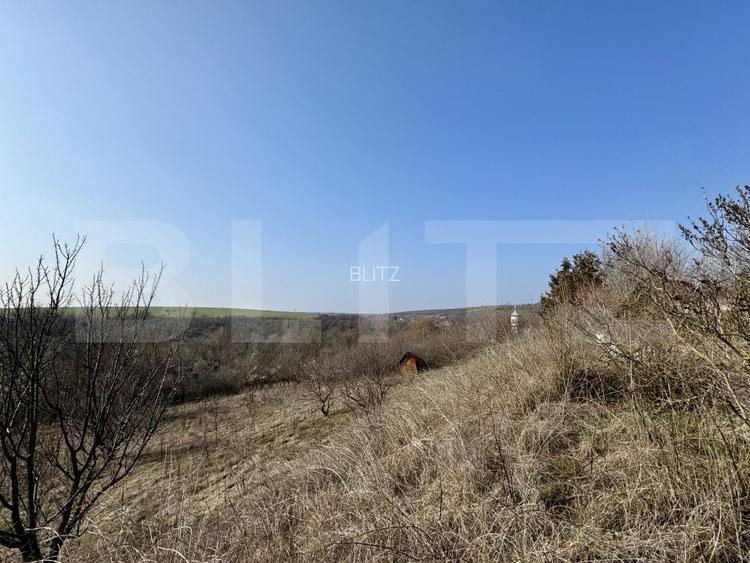 Conac cu teren intravilan 8759 mp, priveliste panoramica, Ciutura - 12