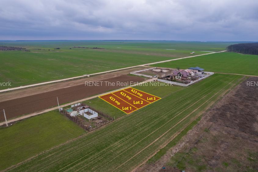 FRUMUSANI - VIOLETELOR, TEREN 423 MP, FRONT 14 M! - 5