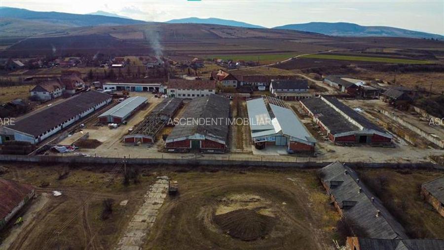 Ansamblu agrozootehnic cu renume,dotat +valoare exceptionala+potential versatil, - 51