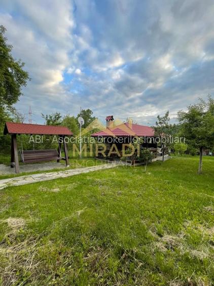 Vanzari Case / vile - 7