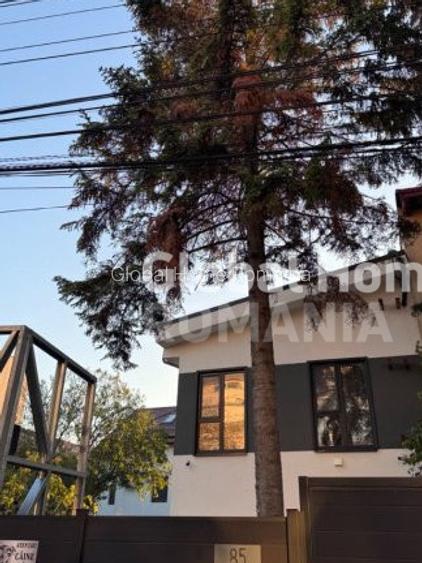 Vila Verde 4 camere 189 MP | Baneasa | 2024 | 2 locuri parcare - 15