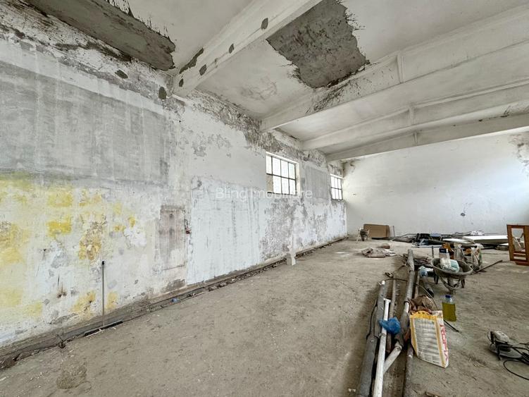 Hală industrială, 150 mp, în curs de renovare, zona Calea Baciului - 3