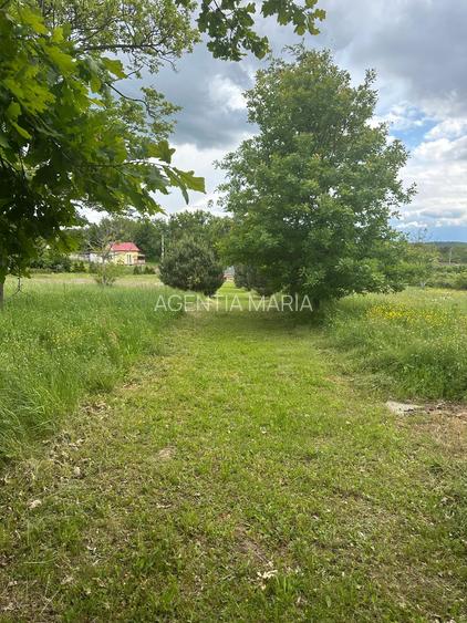 Casa Pensiune in Viile Satu Mare teren 1,63 ha, 11 camere, 10 bai - 3