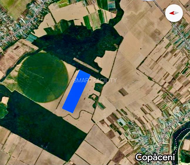 Vanzare teren intravilan Copaceni Ilfov - 2