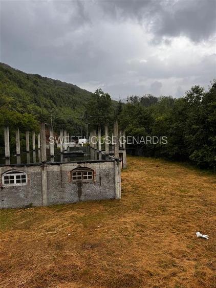 Oportunitate de investitie Cabana Cartisoara Zona Turistica - 47