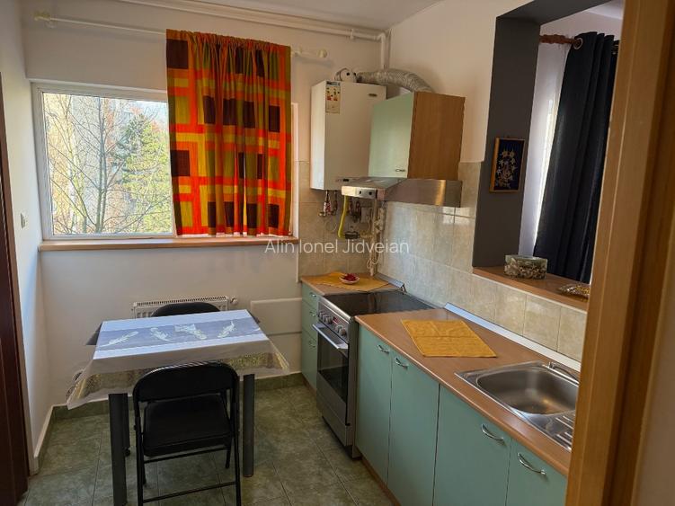 Apartament 1 camera -str Plopilor - 7