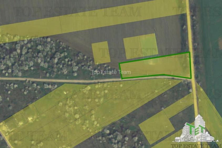 Teren Intravilan pentru constructie, 3000mp, Branesti, Ilfov - 4