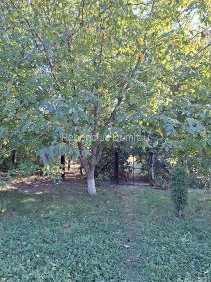 Vand casa spatioasa cu livada si teren generos (7200 mp) in Catamaresti-Deal - 16