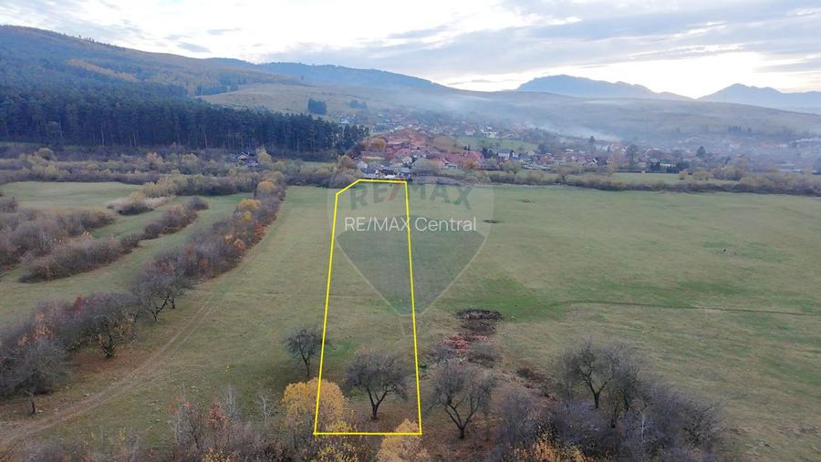 Teren 5.800 mp Purcareni curent, gaz, apă / Strada 30 decembrie - 8