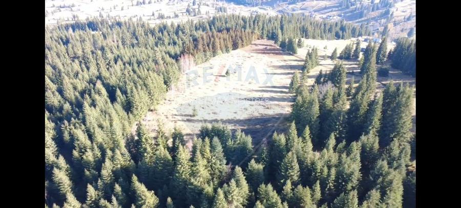 Teren 16,289mp Coverca / Drumul Bucinis - 6