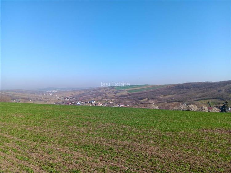 OCAZIE! Vorovesti Teren 83000mp intrav. si extrav. cu utilitati - 2