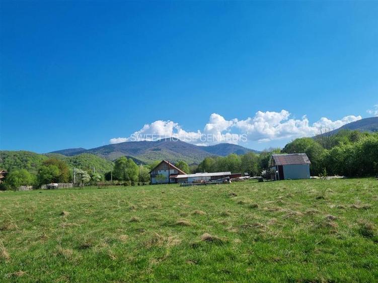 Teren valea Sebesului - 9