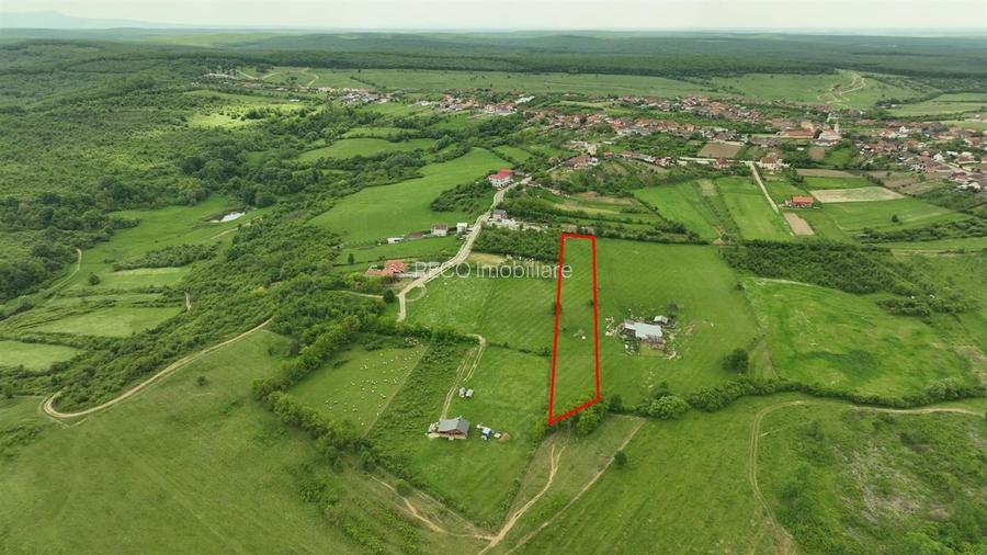 RECO Teren intravilan in Cordau-Sanmartin - 3