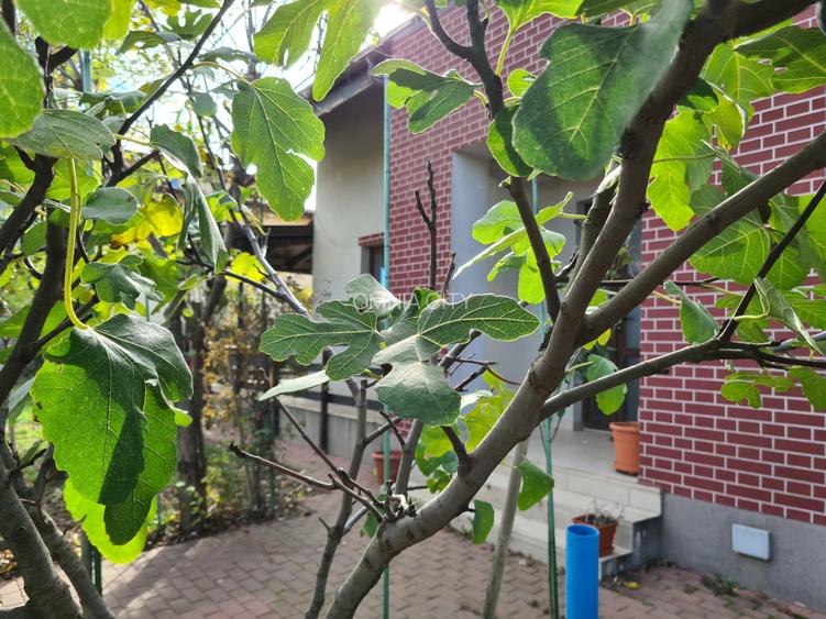 OMNIA-Proprietati alese! Haide sa probam o casa, garantez ca e frumoasa! - 7