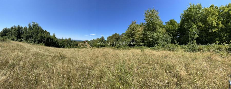 Teren Extravilan în mijlocul naturii. - 24