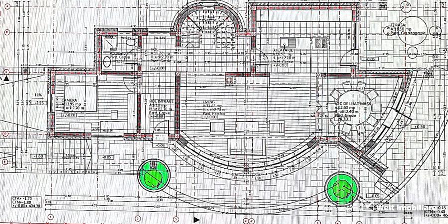 Casa cu arhitectura unica, 257 mp utili, 725 mp teren, Tineretului - 9