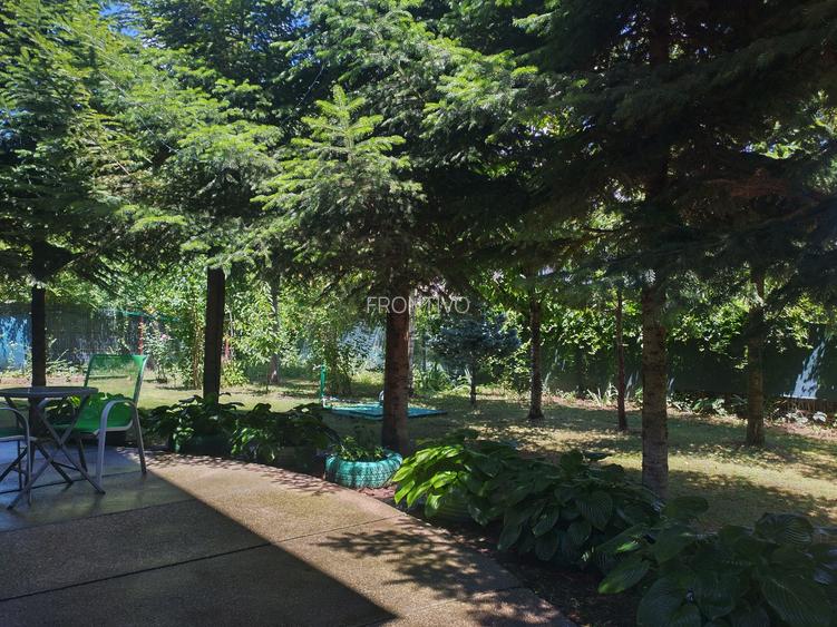 Vila de vanzare in Snagov in vecinatatea padurii - 4