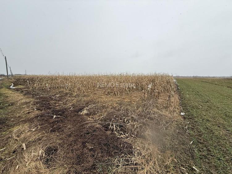 Teren extravilan | Gălănești | 7.276 mp | Front 29 m - 4