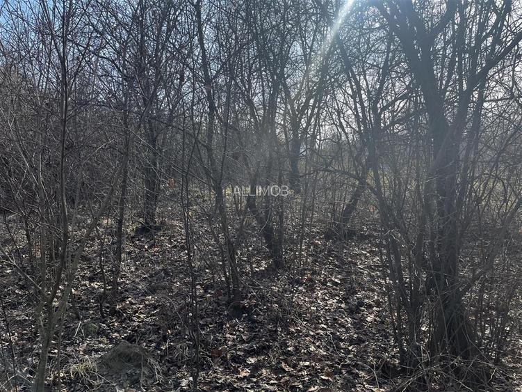 Teren de 9?nzard?n Seciu, Prahova  1.746 /?, cu utilitati si constructie demol - 4