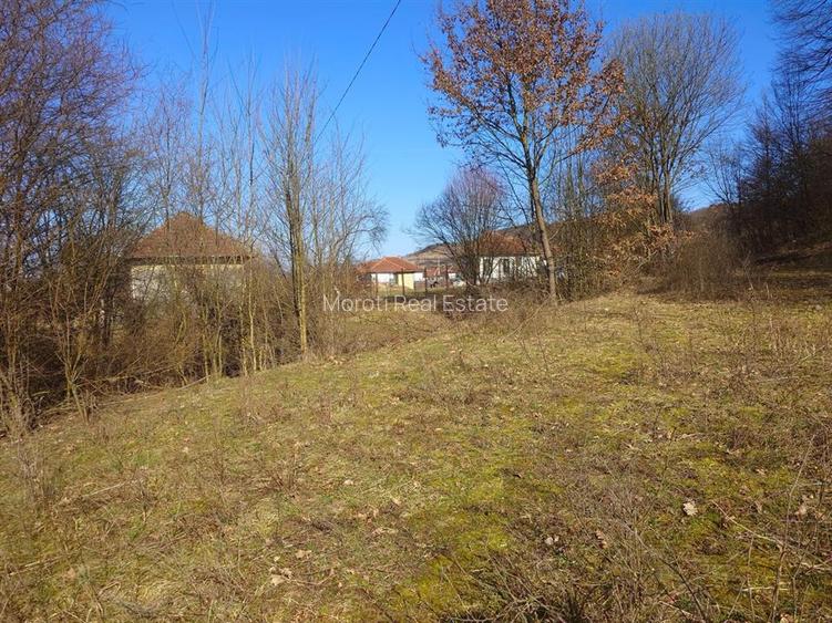 Teren intravilan la liziera padurii - 8