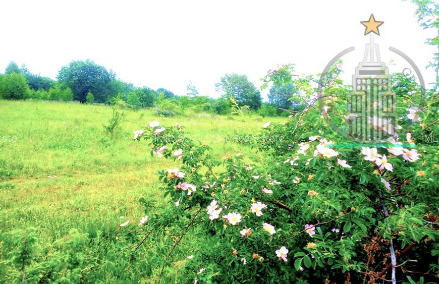 Teren extravilan  potențial turistic ridicat – Dejani, Recea, Munții Făgăraș - 3