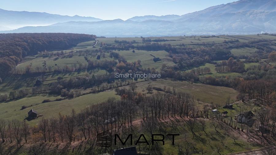 Teren de 4000 mp in Padurea Tufari, Sadu - 2