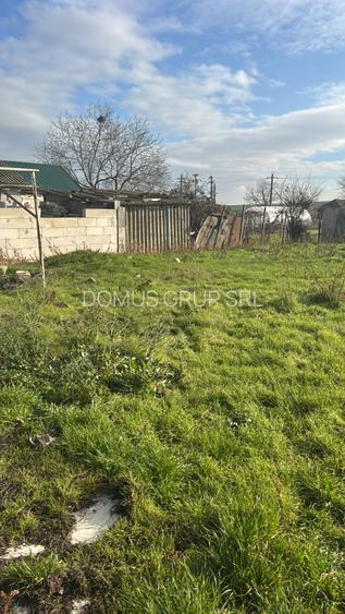 Cogealac - casa cu 3 camere, 1500 mp teren - 11