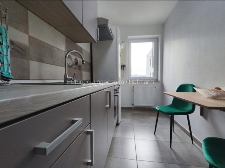 Ap spatios cu 2 camere, dressing, garaj, bloc nou, str Corneliu Coposu - 8