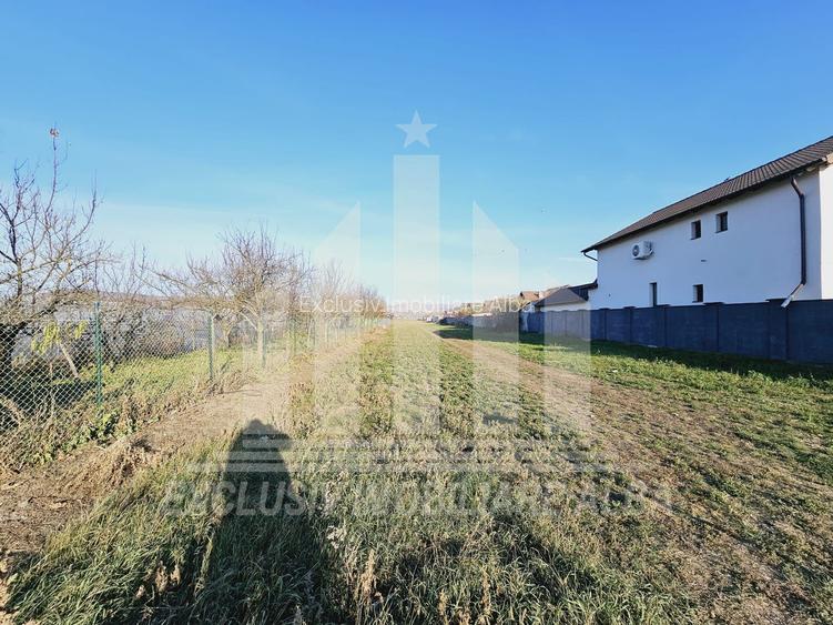 Teren intravilan | 4000 mp | 17 ml deschidere | Micesti - 3