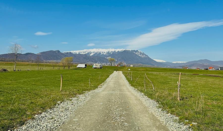 Teren intravilan Râșnov – Glejerie  5 parcele x 1000 mp  Capăt Str. Greierilor - 6