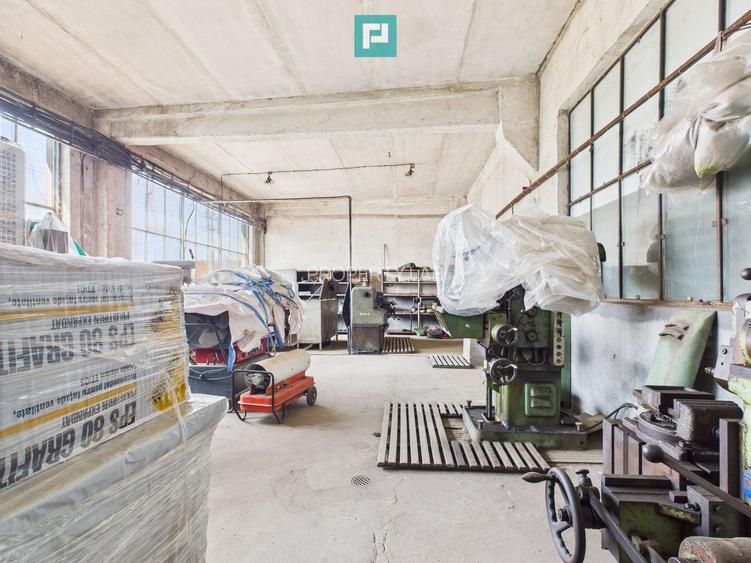 Complex industrial cu hale și teren  în Orțișoara - 39